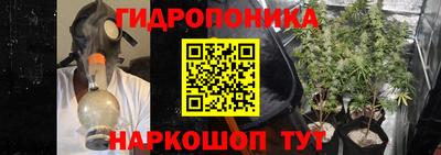 спиды Славгород