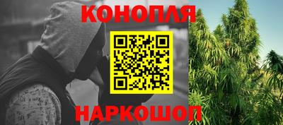 крисы Сланцы