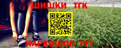 спиды Славгород