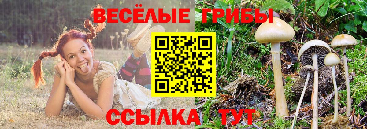 Новокубанск  Псилоцибиновые грибы Magic Shrooms  хочу   Галлюциногенные грибы Magic Shrooms  Вход с VPN 