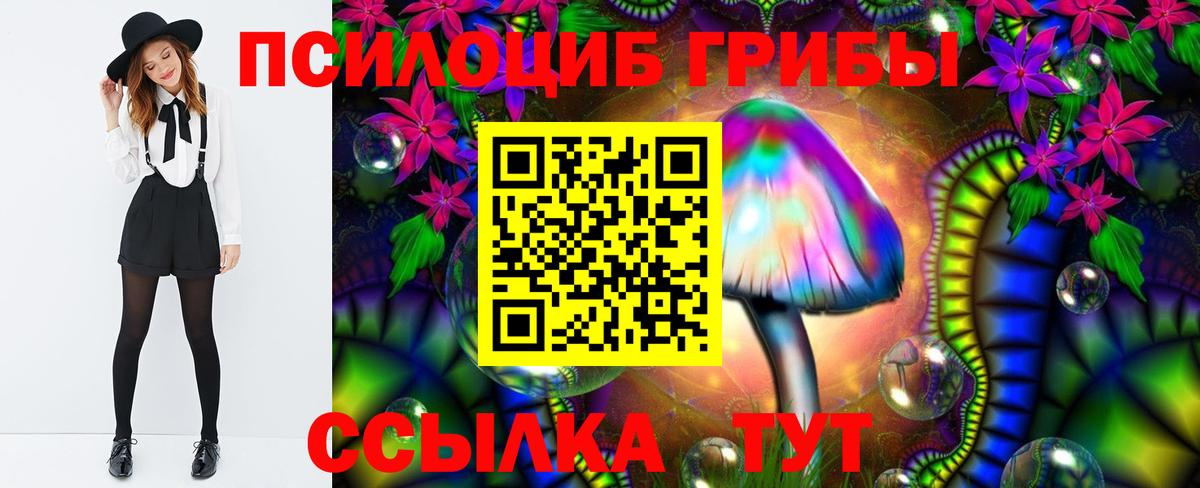 Псилоцибиновые грибы мухоморы Новокубанск
